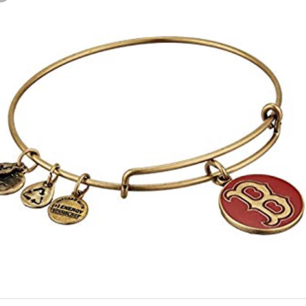 NWT Alex and Ani Boston Red Sox Charm Bracelet